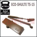 Доводчик ECO Schulte TS 11F із важелем